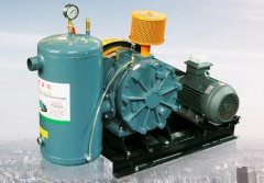 HZ回轉(zhuǎn)式鼓風(fēng)機(jī)生產(chǎn)廠家